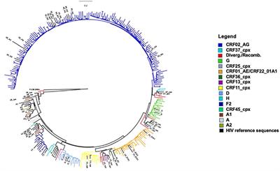 No detectable differences in Nef-mediated downregulation of HLA-I and CD4 molecules among HIV-1 group M lineages circulating in Cameroon, where the pandemic originated